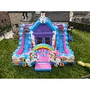 Bovenaanzicht eenhoorn springksateel.webp