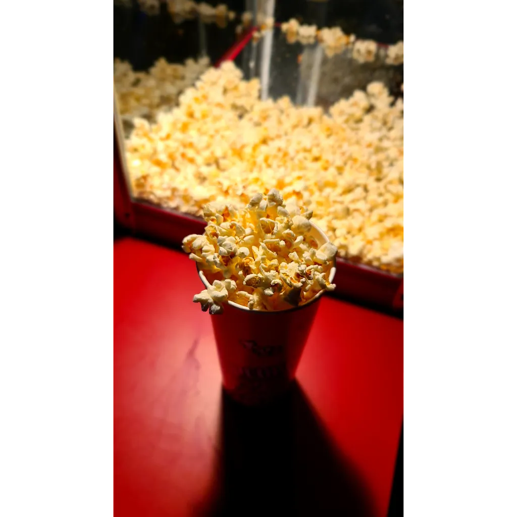 popcorn machine gebruik.webp