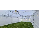 Tent 60 personen.webp