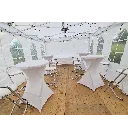 walking dinners.webp