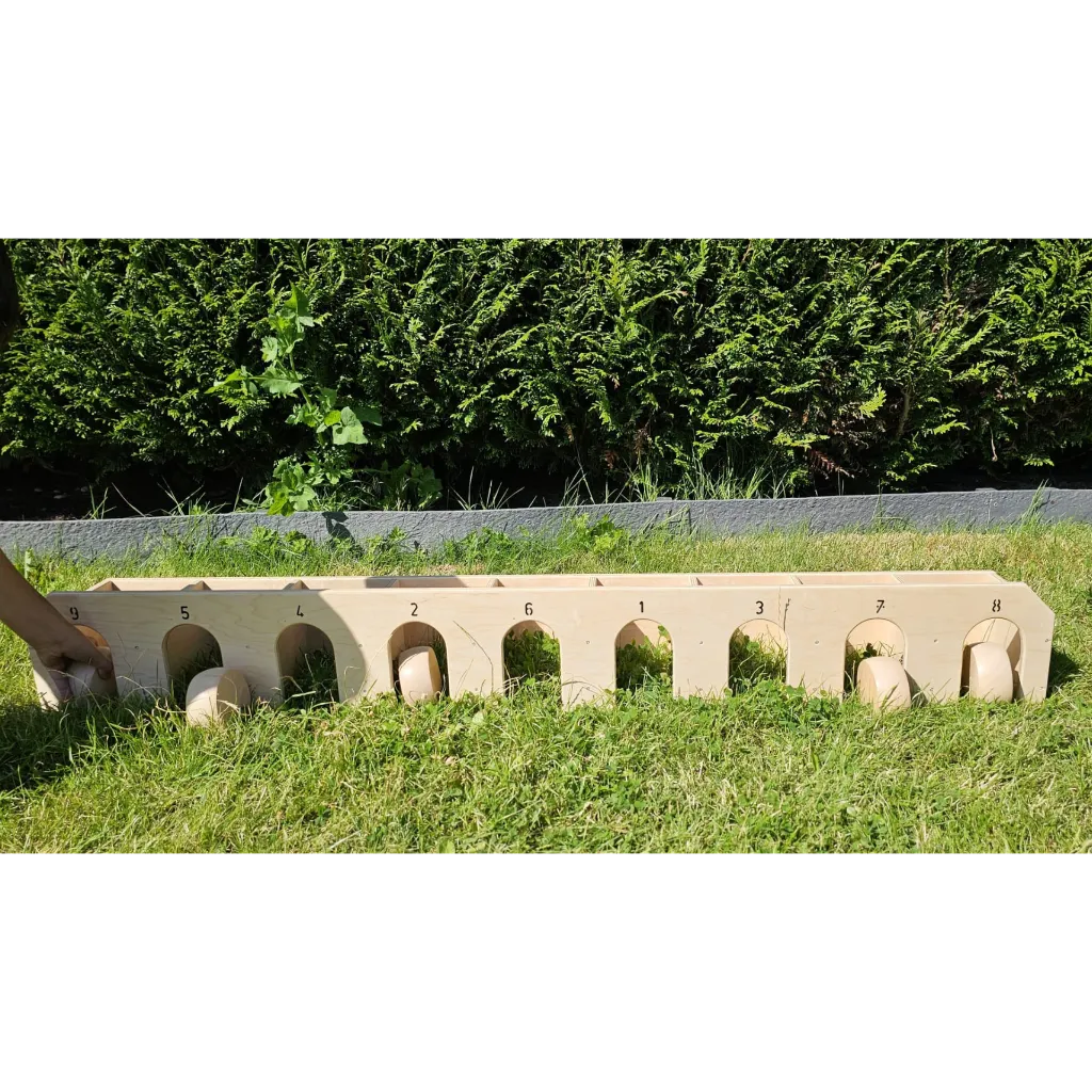 oud hollandse spelen.webp