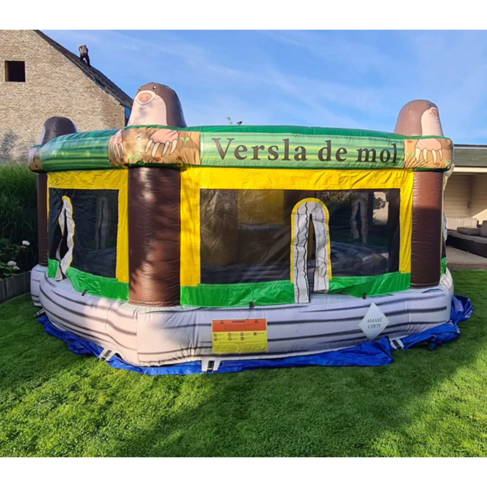 Whac-a-Mole spel: volwassen springkasteel